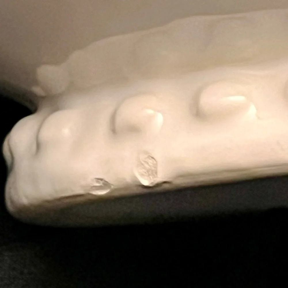 Tabletops Gallery White Ceramic Beaded Gravy Boat Farmhouse Serveware